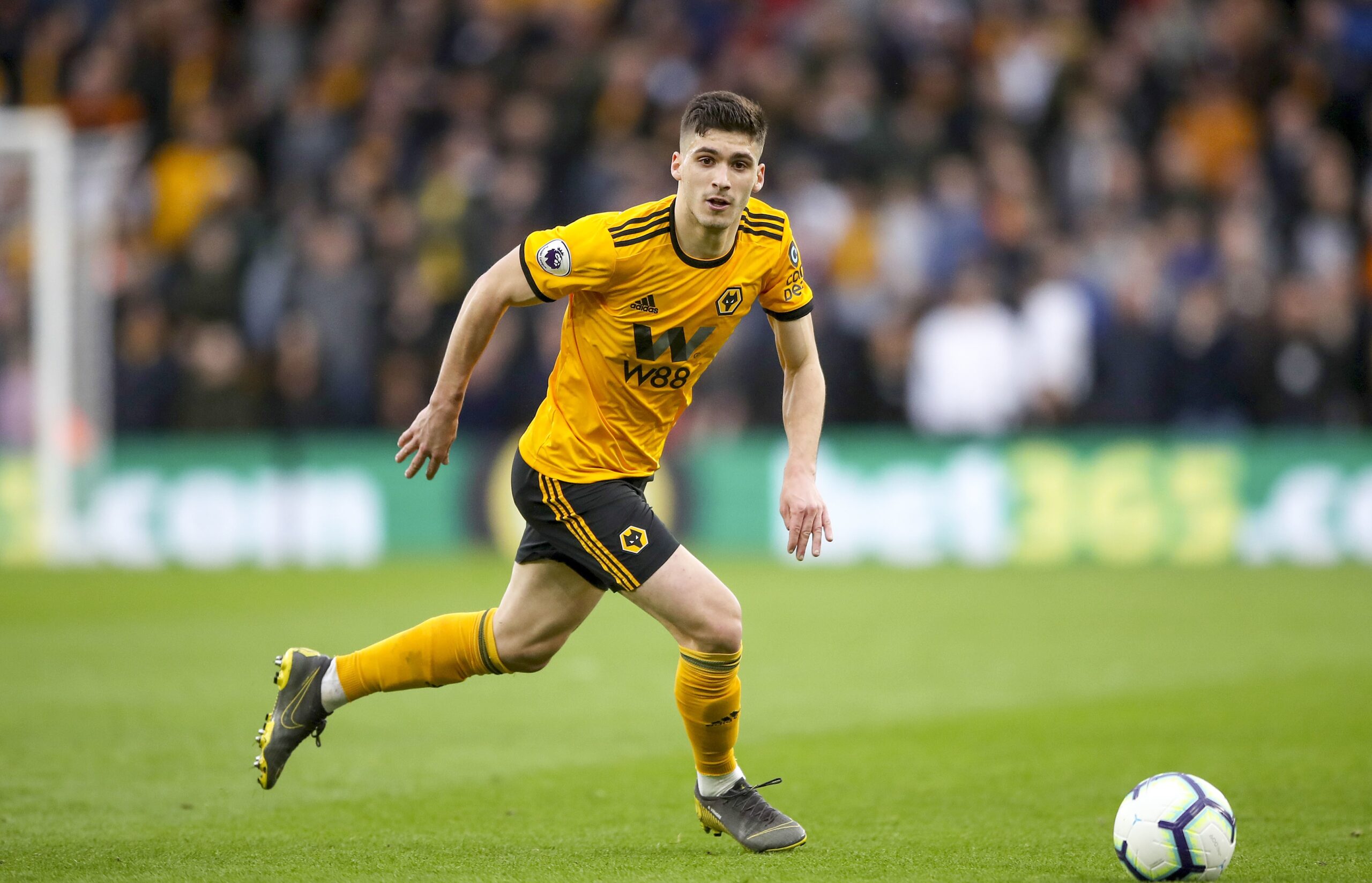 Wolverhampton, Mercato : Vinagre va retourner au Sporting