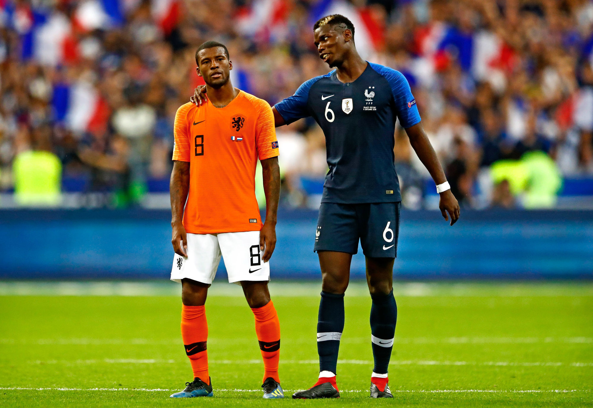 PSG, Wijnaldum : &quot;J&#039;adorerais avoir Paul Pogba avec nous&quot;
