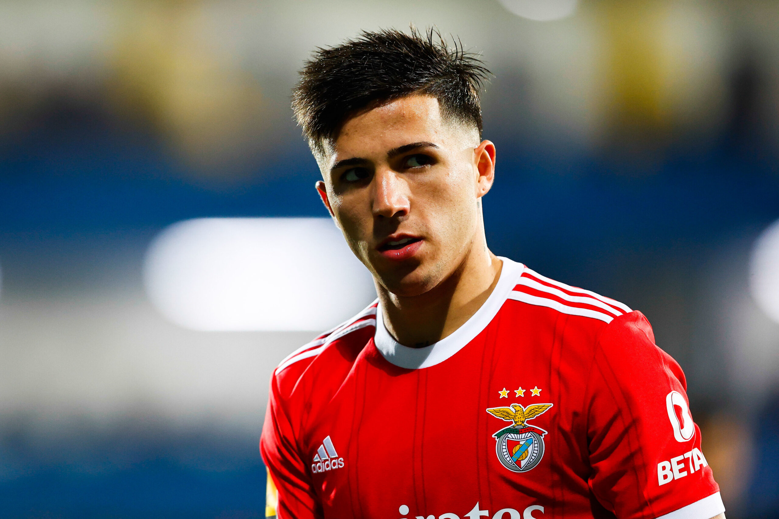 Chelsea : le Benfica s&#039;en prend à Enzo Fernandez après son départ de Lisbonne